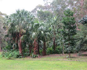 Booderee National Park Botanic Gardens - Attractions Melbourne 4