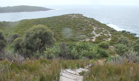Pretty Beach To Snapper Point Walking Track - Attractions Melbourne 2