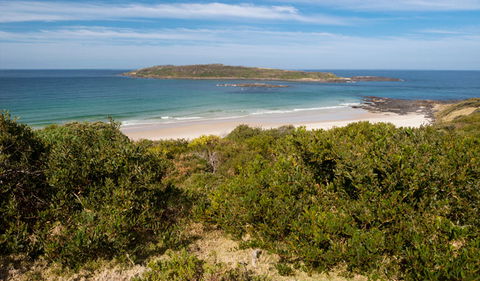 Murramarang Aboriginal Area - Attractions Melbourne 0