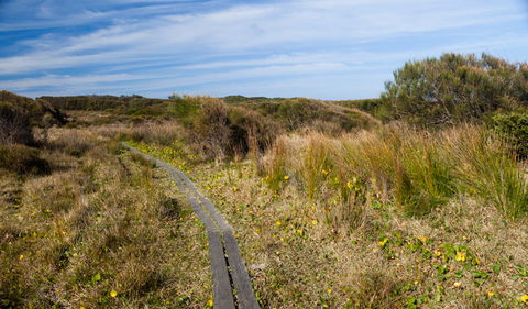 Murramarang Aboriginal Area - Attractions Melbourne 1