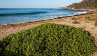 Richmond Beach