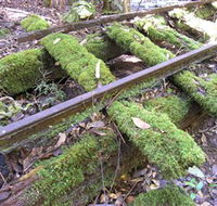 Wootton Historical Railway Walk - Attractions Melbourne