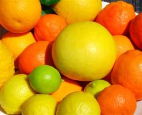 Fruit Salad Tree Company - Attractions Melbourne 2