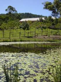 Mount Nathan Winery - Attractions Melbourne 2