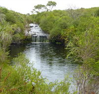 Booderee National Park Green Patch and Telegraph Creek Walking Tracks - Attractions Melbourne