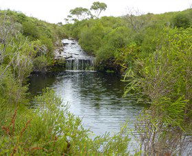 Booderee National Park: Green Patch And Telegraph Creek Walking Tracks - Attractions Melbourne 0
