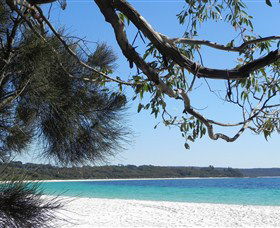 Booderee National Park: Green Patch And Telegraph Creek Walking Tracks - Attractions Melbourne 6