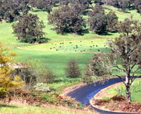 Blackwood River Tourist Drive