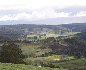 Blackwood River Tourist Drive - Attractions Melbourne 2