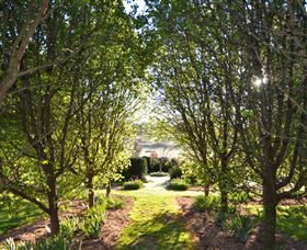 All Saints Garden - Attractions Melbourne 4