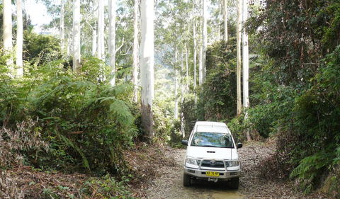Bindarri National Park - Attractions Melbourne 2