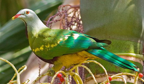 Bindarri National Park - Attractions Melbourne 3
