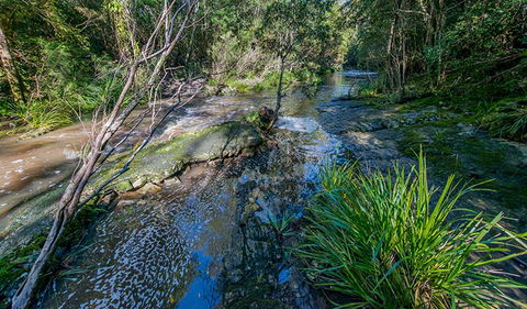 Dawson River Walking Track - Attractions Melbourne 0
