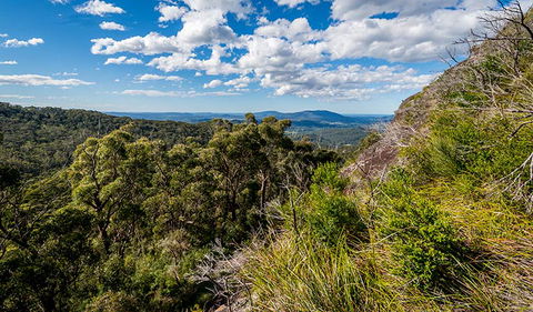 Big Nellie Lookout And Picnic Area - Attractions Melbourne 2