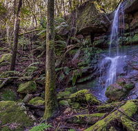 Coorabakh National Park - Attractions Melbourne