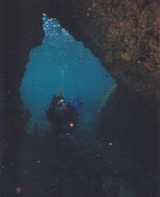 Tangalooma Wrecks Dive Site - Attractions Melbourne 1