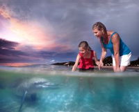 Tangalooma Dolphin Feeding
