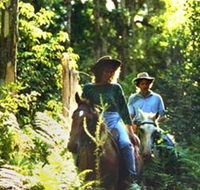 Clarendon Forest Retreat Horse Riding - Attractions Melbourne