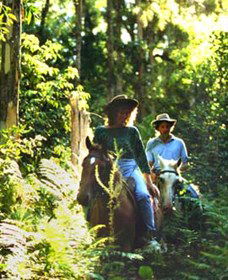Clarendon Forest Retreat Horse Riding - Attractions Melbourne 0