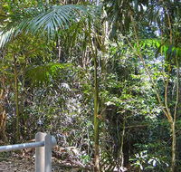 Goorgana walking track - Attractions Melbourne