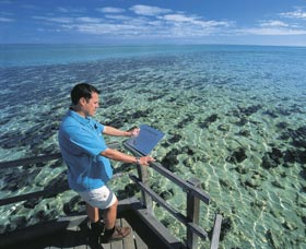 Hamelin Pool Stromatolites - Attractions Melbourne 2