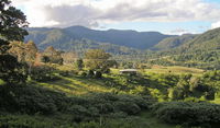 Mount Nardi picnic area