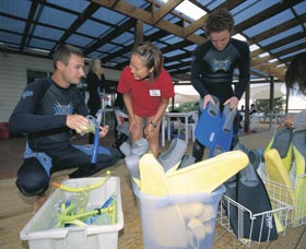 Dolphin Discovery Centre - Attractions Melbourne 1