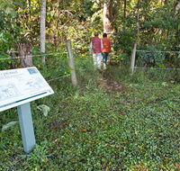 Coramba Nature Reserve - Attractions Melbourne