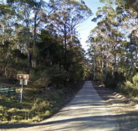 Box Cutting Rainforest Walk - Attractions Melbourne