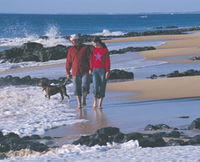 Back Beach