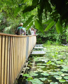 Rocky Creek Dam - Attractions Melbourne 0