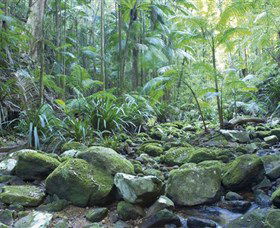 Rocky Creek Dam - Attractions Melbourne 5