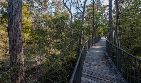 Myanba Gorge Walking Track - Attractions Melbourne 1
