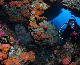Cherubs Cave Dive Site - Attractions Melbourne 2