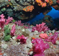 Cherubs Cave Dive Site - Attractions Melbourne