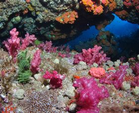 Cherubs Cave Dive Site - Attractions Melbourne 0