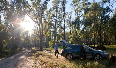 Wallingat Forest Drive - Attractions Melbourne 1
