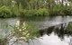 Wallingat National Park - thumb 0