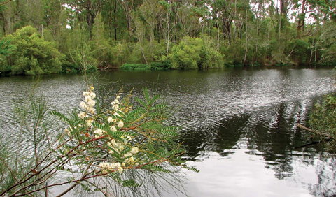 Wallingat National Park - Attractions Melbourne 0
