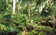 Wallingat National Park - thumb 3
