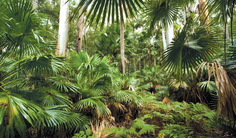 Wallingat National Park - Attractions Melbourne 3