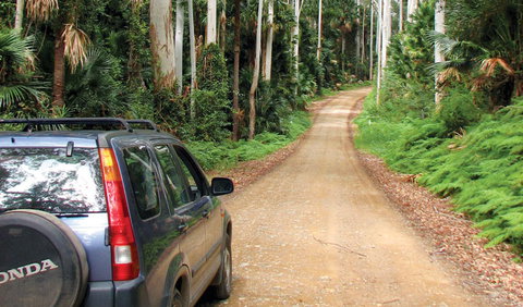 Wallingat National Park - Attractions Melbourne 2
