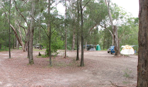 Wallingat National Park - Attractions Melbourne 1