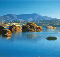 Wagonga Picnic Area - Attractions Melbourne