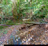 Ulidarra National Park - Attractions Melbourne