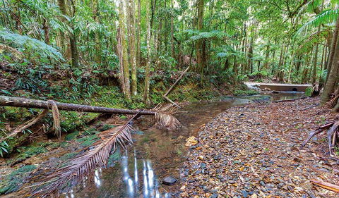Ulidarra National Park - Attractions Melbourne 0
