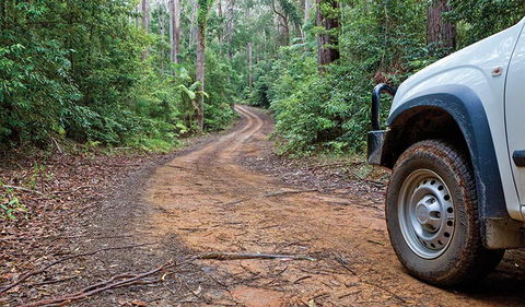 Ulidarra National Park - Attractions Melbourne 2