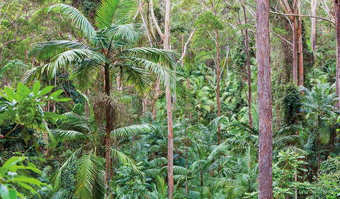 Ulidarra National Park - Attractions Melbourne 3
