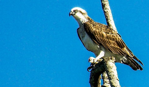 Saltwater National Park - Attractions Melbourne 1