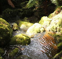 South East Forests National Park - Attractions Melbourne